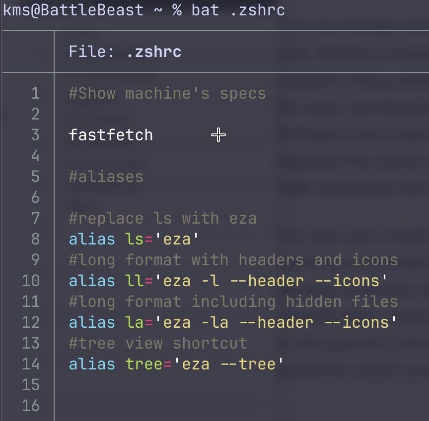 Bat command in the terminal.