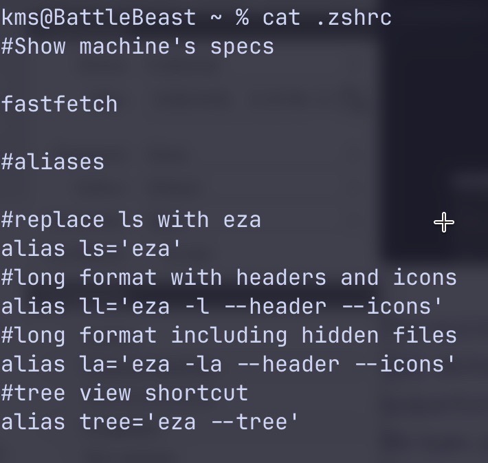 Cat command in the terminal