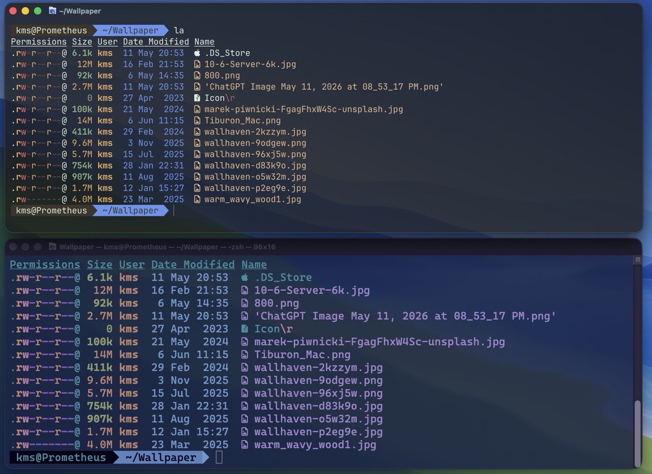 Ghostty_vs_terminal.jpeg Ghostty vs terminal.