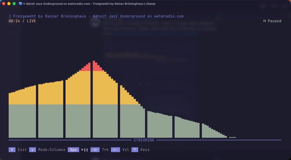 Cliamp_large_visualizer.jpg Cliamp large visualizer.